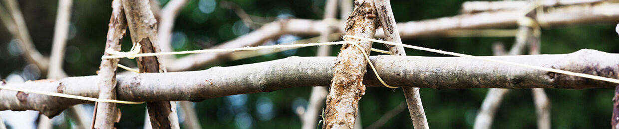 A framework of sticks