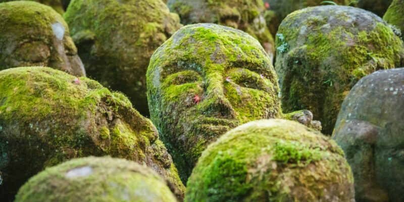 Representation of one group within many