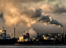 carbon footprint of digital featured image