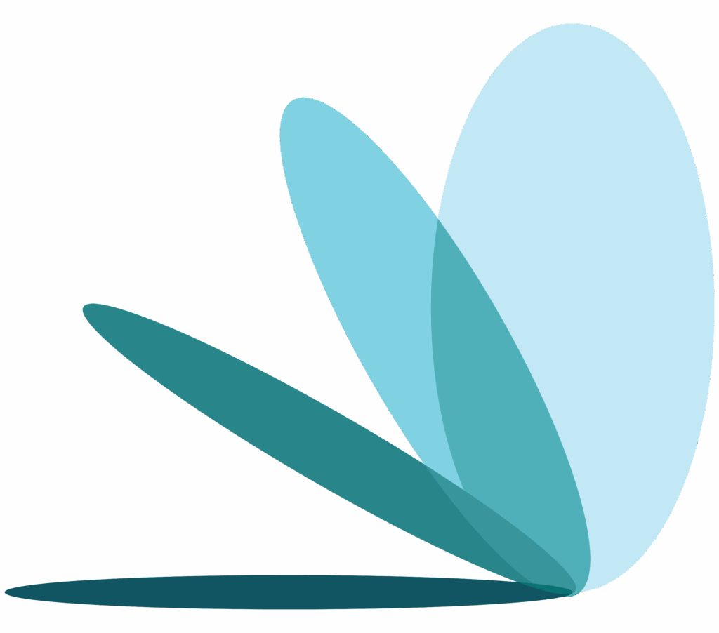 Transparent Partners